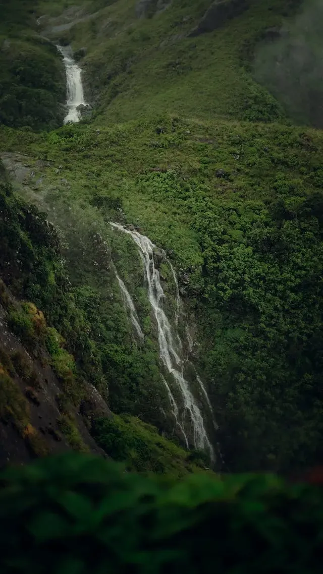 Vagamon Meadows, Lake and Thangalpara Tour