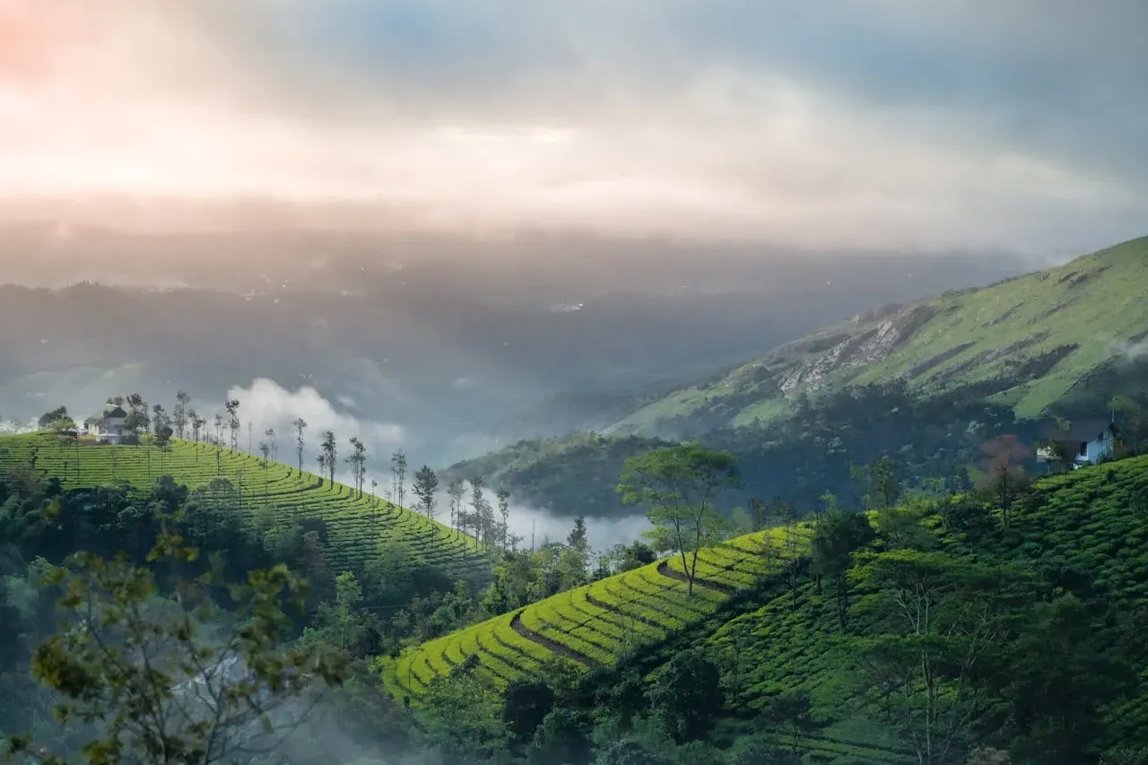 Sunrise & Sunset Jeep Safari in Vagamon